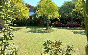 Bahçe Villa Çıralı