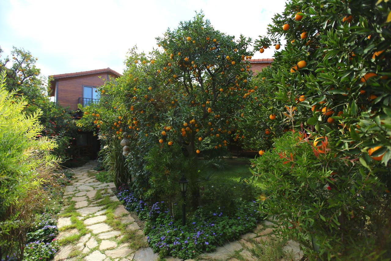 Bahce Villa Чирали Экстерьер фото