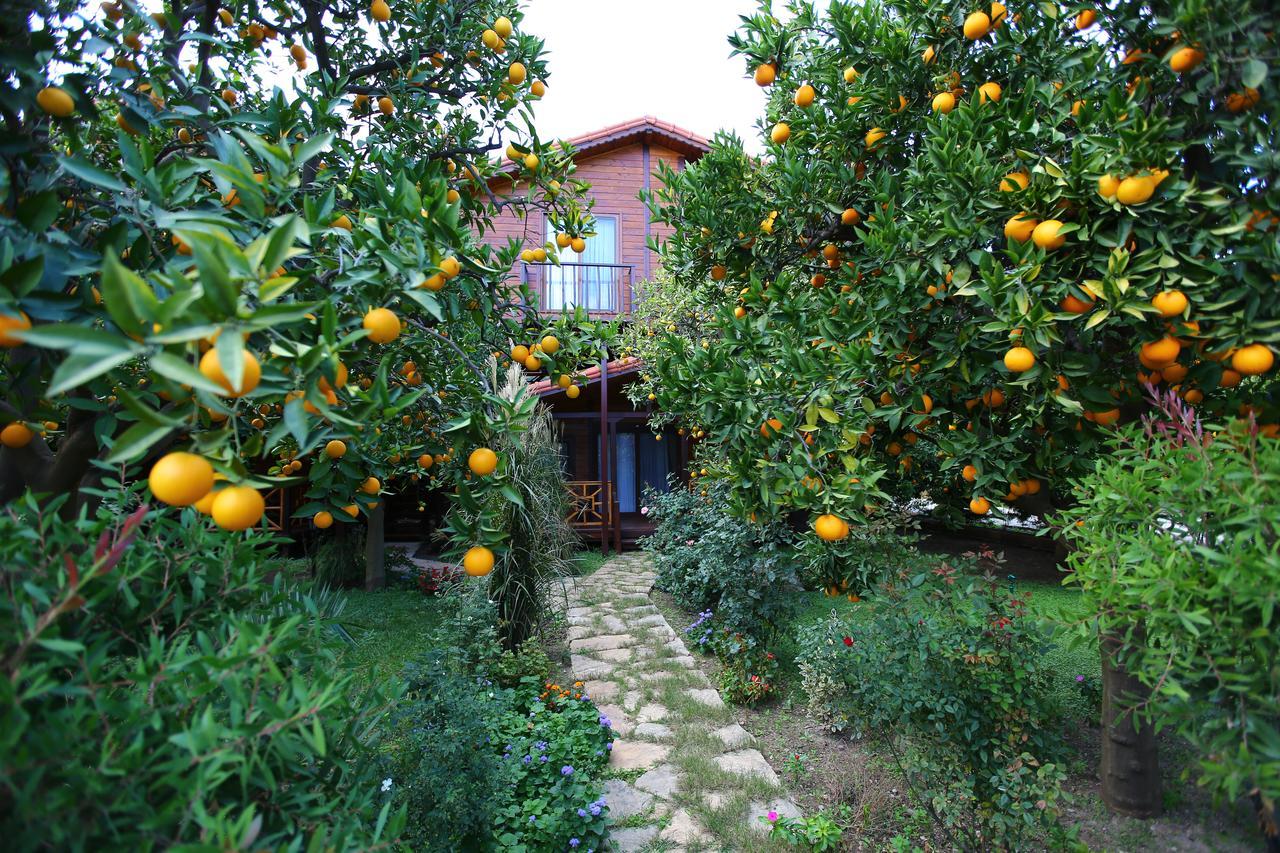 Bahce Villa Чирали Экстерьер фото