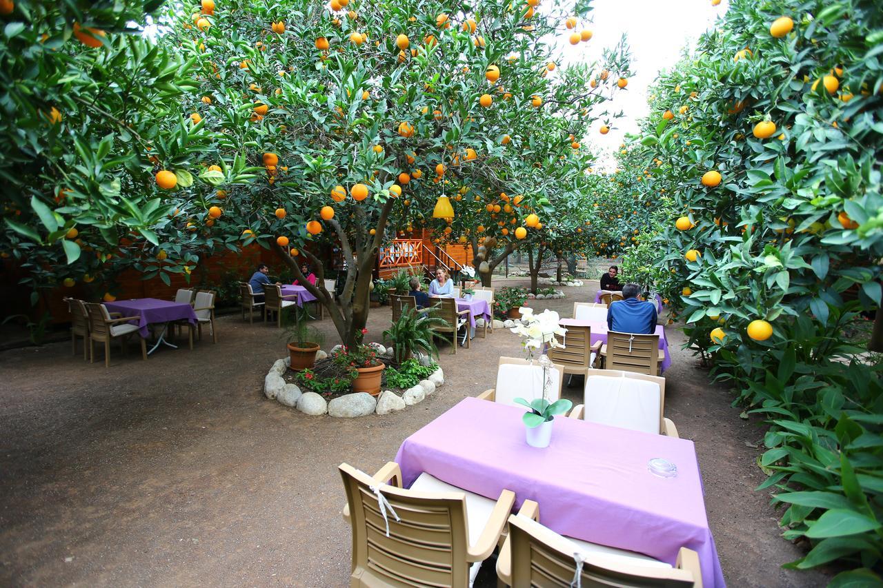 Bahce Villa Чирали Экстерьер фото